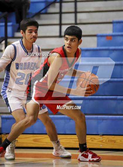 Thumbnail 1 in Redwood vs. Kerman photogallery.