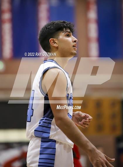 Thumbnail 3 in Redwood vs. Kerman photogallery.