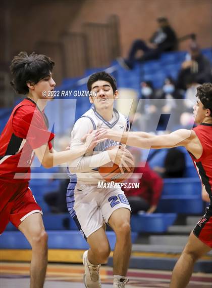 Thumbnail 3 in Redwood vs. Kerman photogallery.