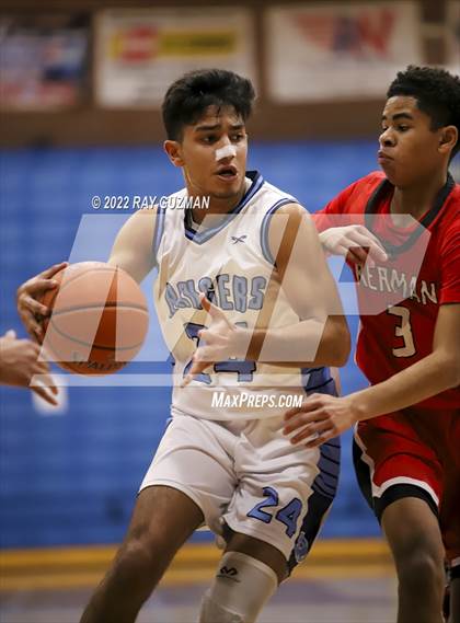 Thumbnail 1 in Redwood vs. Kerman photogallery.