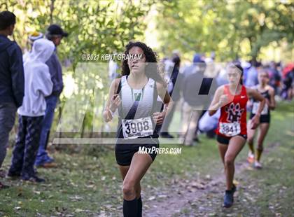 Thumbnail 2 in IHSAA Cross Country  Noblesville Regional  Championship photogallery.