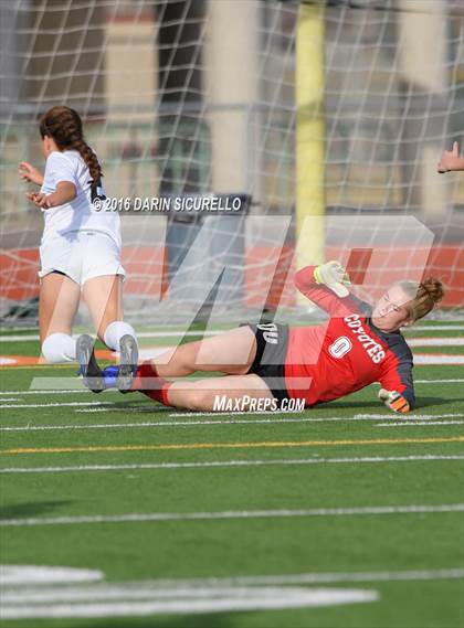 Thumbnail 1 in Basha @ Campo Verde (Coyote Classic Tournament) photogallery.