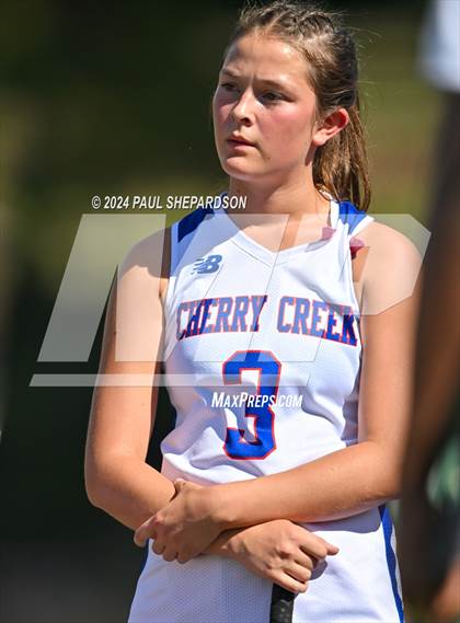 Thumbnail 2 in Mountain Vista @ Cherry Creek photogallery.