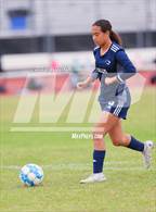 Photo from the gallery "Buckeye @ Kellis"