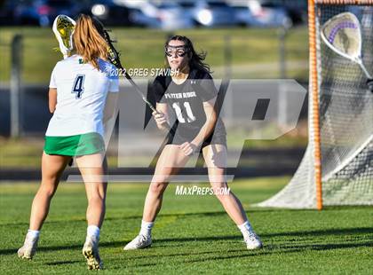 Thumbnail 3 in Porter Ridge @ Weddington photogallery.
