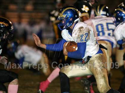 Thumbnail 1 in Venus @ Crandall photogallery.