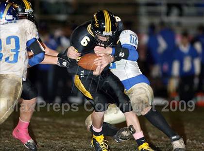 Thumbnail 2 in Venus @ Crandall photogallery.