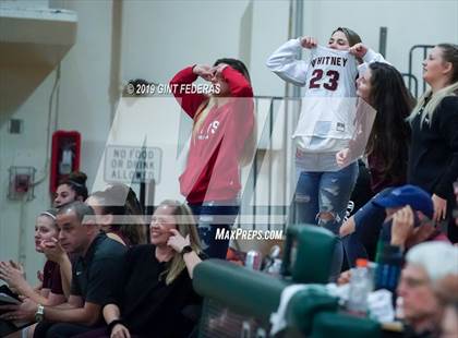 Thumbnail 1 in Miramonte vs. Whitney (Lamorinda Classic) photogallery.