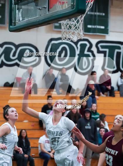 Thumbnail 1 in Miramonte vs. Whitney (Lamorinda Classic) photogallery.