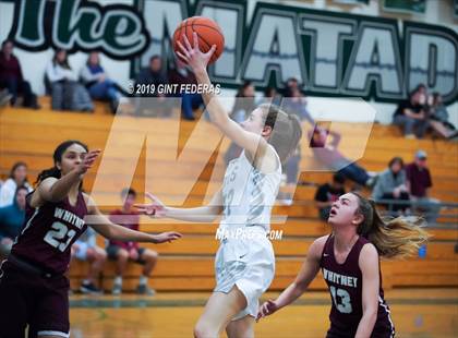 Thumbnail 1 in Miramonte vs. Whitney (Lamorinda Classic) photogallery.