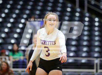 Thumbnail 2 in Wink vs. Thrall (UIL Volleyball 2A Semifinals) photogallery.