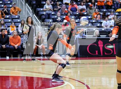 Thumbnail 3 in Wink vs. Thrall (UIL Volleyball 2A Semifinals) photogallery.