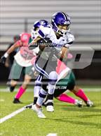 Photo from the gallery "Douglas County @ Pine Creek"