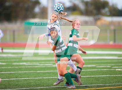 Thumbnail 3 in Manteca vs. Christian Brothers (CIF SJS D3 Final) photogallery.