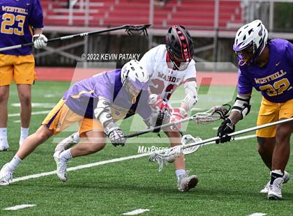 Thumbnail 1 in Westhill @ Fairfield Warde photogallery.