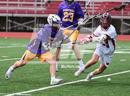 Thumbnail 1 in Westhill @ Fairfield Warde photogallery.