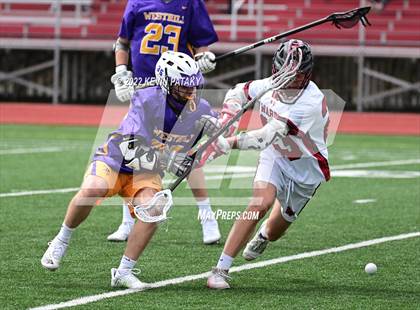 Thumbnail 3 in Westhill @ Fairfield Warde photogallery.
