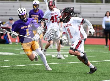 Thumbnail 3 in Westhill @ Fairfield Warde photogallery.