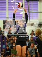 Photo from the gallery "San Marin @ Petaluma"
