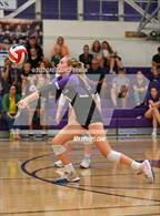 Photo from the gallery "San Marin @ Petaluma"