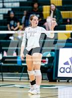 Photo from the gallery "Western Harnett @ Pinecrest"