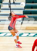 Photo from the gallery "Western Harnett @ Pinecrest"