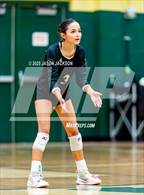 Photo from the gallery "Western Harnett @ Pinecrest"