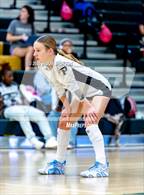 Photo from the gallery "Western Harnett @ Pinecrest"