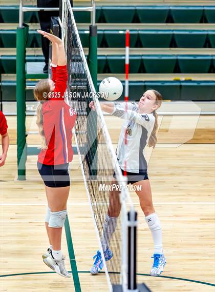 Thumbnail 1 in Western Harnett @ Pinecrest photogallery.