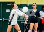 Photo from the gallery "Western Harnett @ Pinecrest"