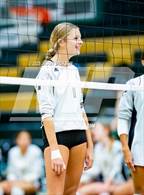 Photo from the gallery "Western Harnett @ Pinecrest"