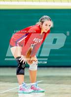 Photo from the gallery "Western Harnett @ Pinecrest"