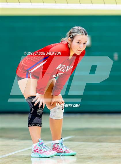Thumbnail 2 in Western Harnett @ Pinecrest photogallery.