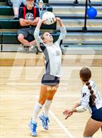 Photo from the gallery "Western Harnett @ Pinecrest"