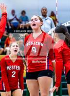 Photo from the gallery "Western Harnett @ Pinecrest"