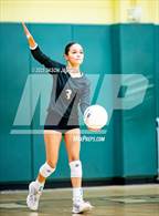 Photo from the gallery "Western Harnett @ Pinecrest"