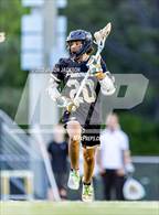 Photo from the gallery "Gray's Creek @ Pinecrest"