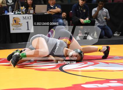 Thumbnail 1 in CIF State Girls Wrestling Championships (Consolation RD1) photogallery.