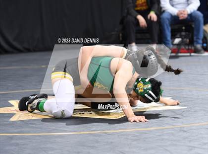 Thumbnail 3 in CIF State Girls Wrestling Championships (Consolation RD1) photogallery.
