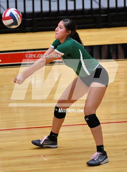 Thumbnail 2 in Johnson [Claudia Taylor] vs Reagan [Ronald] (Littleton Gym) photogallery.