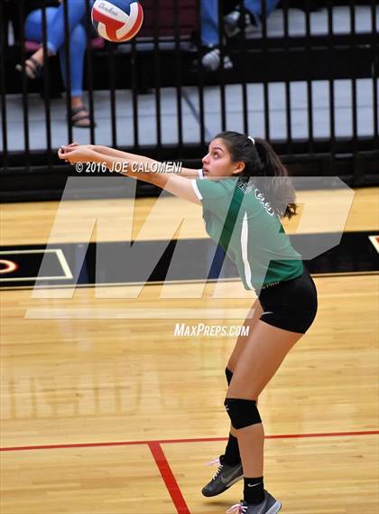 Thumbnail 1 in Johnson [Claudia Taylor] vs Reagan [Ronald] (Littleton Gym) photogallery.
