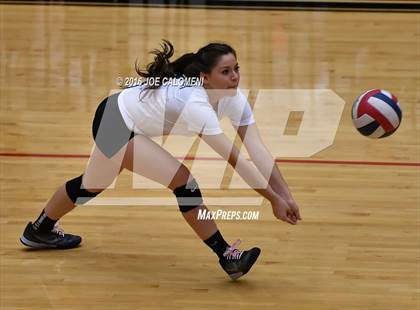 Thumbnail 1 in Johnson [Claudia Taylor] vs Reagan [Ronald] (Littleton Gym) photogallery.