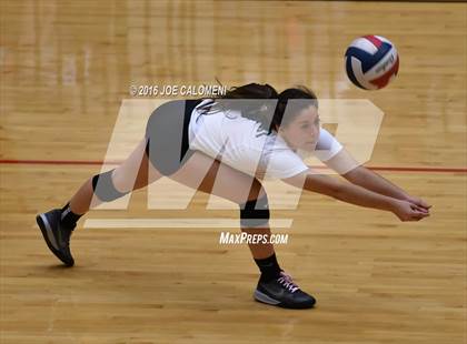 Thumbnail 2 in Johnson [Claudia Taylor] vs Reagan [Ronald] (Littleton Gym) photogallery.