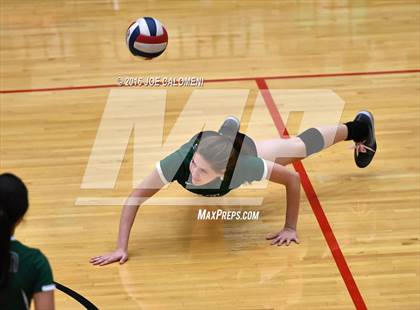 Thumbnail 2 in Johnson [Claudia Taylor] vs Reagan [Ronald] (Littleton Gym) photogallery.