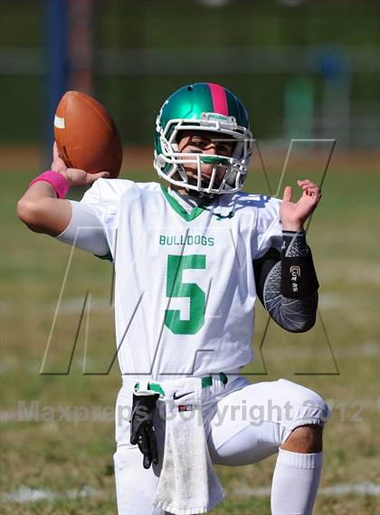 Thumbnail 1 in Irvington @ Briarcliff photogallery.