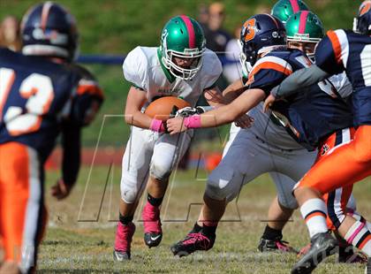Thumbnail 1 in Irvington @ Briarcliff photogallery.