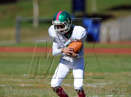 Thumbnail 1 in Irvington @ Briarcliff photogallery.