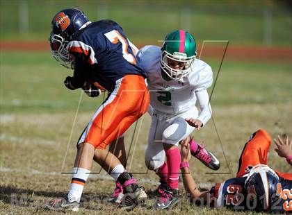 Thumbnail 2 in Irvington @ Briarcliff photogallery.