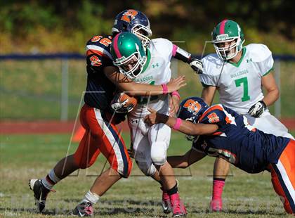 Thumbnail 3 in Irvington @ Briarcliff photogallery.