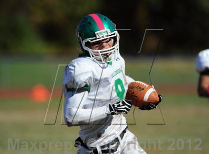 Thumbnail 1 in Irvington @ Briarcliff photogallery.